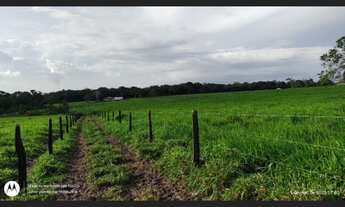 Imagem 3: 17 alqueires com 15 abertos pronta fica a 30 km de Castanhal-PA por R$1.300.000