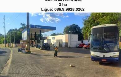 Imagem 4: Terreno de 3 ha na Pedra Mole