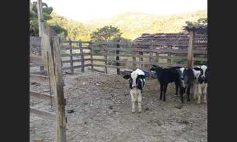 Imagem 2: Sitio de 32 mil mt em passa tempo