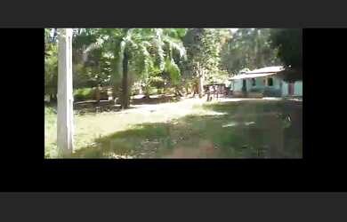 Imagem 2: Fazenda 26 Hectares a 7 kms da Praia Prado Bahia Zap 73 999559555