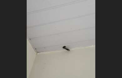 Imagem 3: Aluga-se Casa no Bairro Nova Cidade