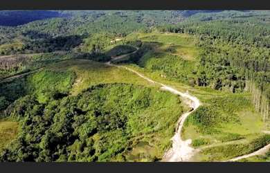 Imagem 4: Fazenda à venda em Agrolândia SC na Serra dos Alves