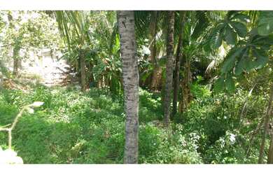 Imagem 2: Terrenos no CRISTO - PERMUTA