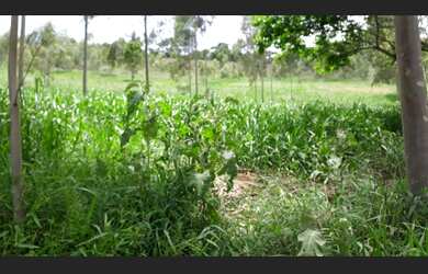 Imagem 7: Propriedade rural com 110 hectares