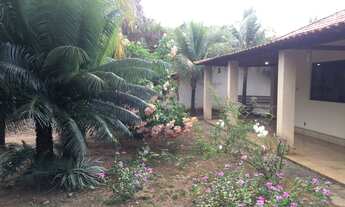 Imagem 7: Alugo ou vendo Rancho - Lins/SP - Interior (mensal