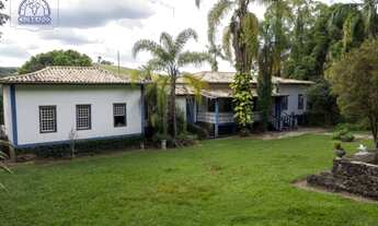 Imagem 6: Fazenda de 297 há em São Tiago MG