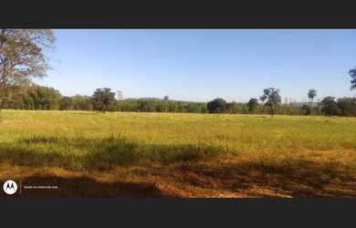 Imagem 7: Fazenda de 100 Hectares em Dois Irmãos do Buriti MS Dupla Aptidão Ideal para a Lida