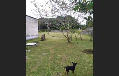 Imagem 4: Sua chácara em Iguape - SP