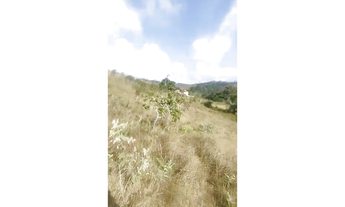 Imagem 3: Fazenda de 40 ha em Oliveira