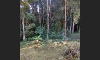 Imagem: Propriedade em Alto Caparaó MG