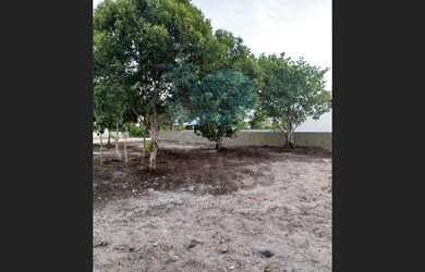 Imagem 6: Lote para Venda, Prado / BA