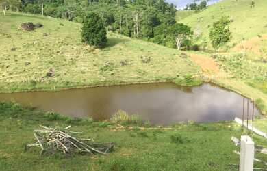 Imagem 6: Vendo roça 1 alqueirão (44 tarefa