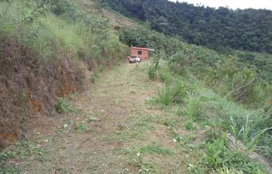 Imagem 6: Terreno em Domingos Martins