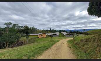 Imagem 4: Fazenda para Venda 86 hectares para Pecuária em Presidente Nereu SC