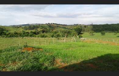 Imagem 7: Excelente Oportunidade ! Lote 1.700m² em Crucilândia/Bonfim - Financia