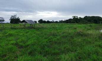 Imagem 4: R$800 mil fazendola 52 hectares a 20 km de Castanhal PA documentada