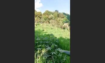 Imagem 4: Lotes com 250 m²