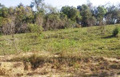 Imagem 3: Terreno p/ sitio