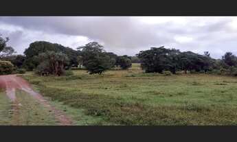 Imagem 2: 1.036 Alqs Abertos Planta Soja Plana Região d Gurupí TO