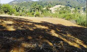 Imagem 5: Vendo Ótimo Sítio em Testo Central, Pomerode