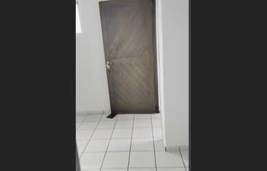 Imagem 3: Alugo Casa 1°andar, Bairro Liberdade, Campina Grande PB