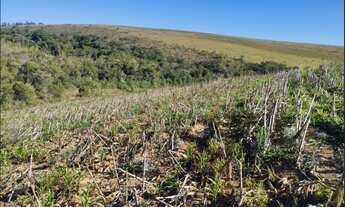 Imagem 7: Terreno de 32 há em Itaguara MG