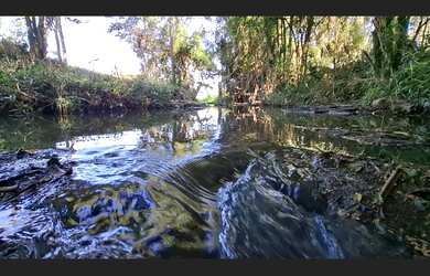 Imagem 5: Sítio a Venda 10 hectares com Casa 5 Dorm. com Riacho, Pastagem e Pomar de Frutas
