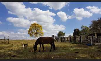 Imagem: Fazenda de 86 há em Itatiaiuçu MG