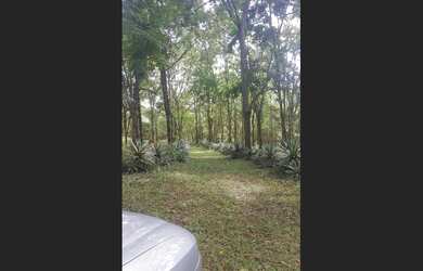 Imagem 4: Fazendinha de 23 há em Itaguara MG