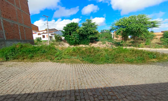Imagem: Grande lote de 1.000 m² no bairro Jardim