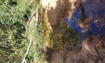 Imagem 3: Terreno de 20 mil mt em Pitangui MG