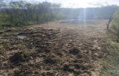 Imagem 7: Terreno Urbano em Simão Dias, Sergipe