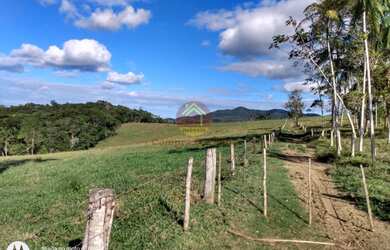 Imagem 5: Fazenda para Venda em Pariquera-Açu / SP, Vale do Ribeira SP