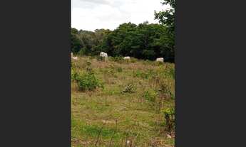 Imagem 5: 50 Alqs Abaixo do Valor Ótima em Tudo Região Dueré TO