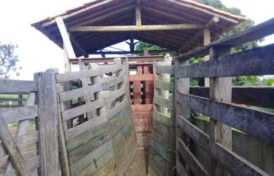 Imagem 4: Fazenda de 130 há em Congonhas do Norte MG