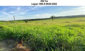 Imagem 6: Fazenda de 200 h em Teresina-Pi