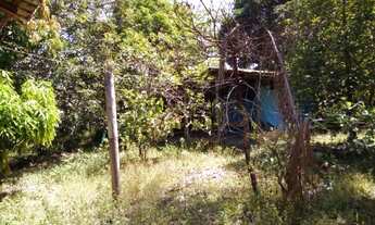 Imagem 4: 29 hectares no Santo Antônio do Tauá por R$160 mil reais documentado