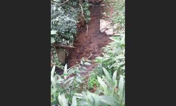 Imagem 5: Sítio em Morro Reuter com 13,5 hectares