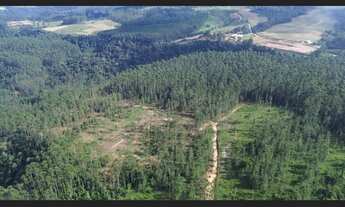 Imagem 4: Terreno para Sítio à Venda 33,2 Hectares Semi Plano em Salete SC