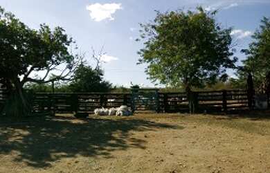 Imagem 6: FAZENDA COM 1.790 HECTARES EM APUIARÉS CE