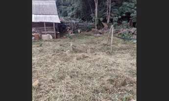 Imagem 5: Propriedade em Alto Caparaó MG