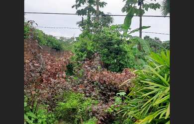 Imagem 5: Vende se uma belicima casa no centro de morros