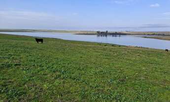 Imagem: ARRENDAMENTO 130 hectares soja pagto 35