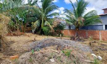 Imagem: Lote a venda em Malhadas