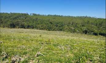 Imagem 4: Terreno de 32 há em Itaguara MG
