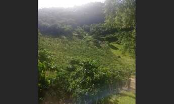 Imagem 2: Sitio de 18 hectares localizado em Pancas/ES situado a 9 km da cidade - Parcelas anuais