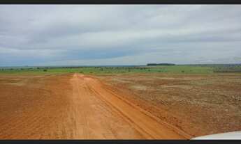 Imagem 5: Fazenda com 303 alq, dupla aptidao