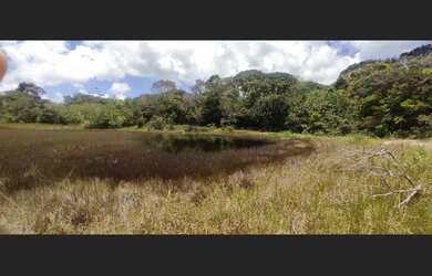 Imagem 5: Excelente fazenda para investimento