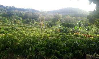 Imagem 6: Lindo sitio Fazenda / sítio com 3 dormitórios