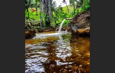 Imagem 2: Sítio a venda Fazenda / sítio com venda por R$155.000